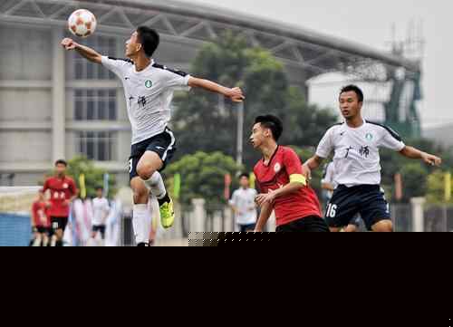 反抢互为因 反抢互为因